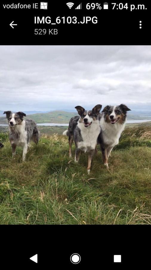 Skellig View Sunset Cliffs View Apartment Portmagee Esterno foto