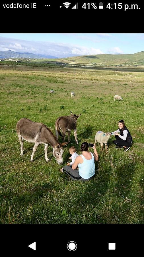 Skellig View Sunset Cliffs View Apartment Portmagee Esterno foto